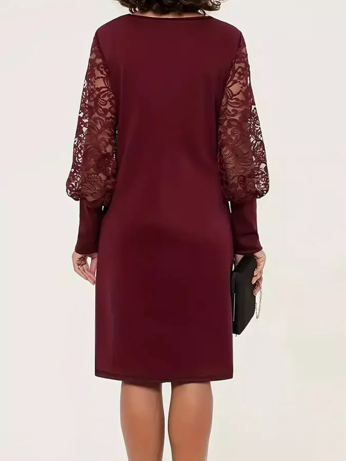Lace Lantern Sleeve Dress