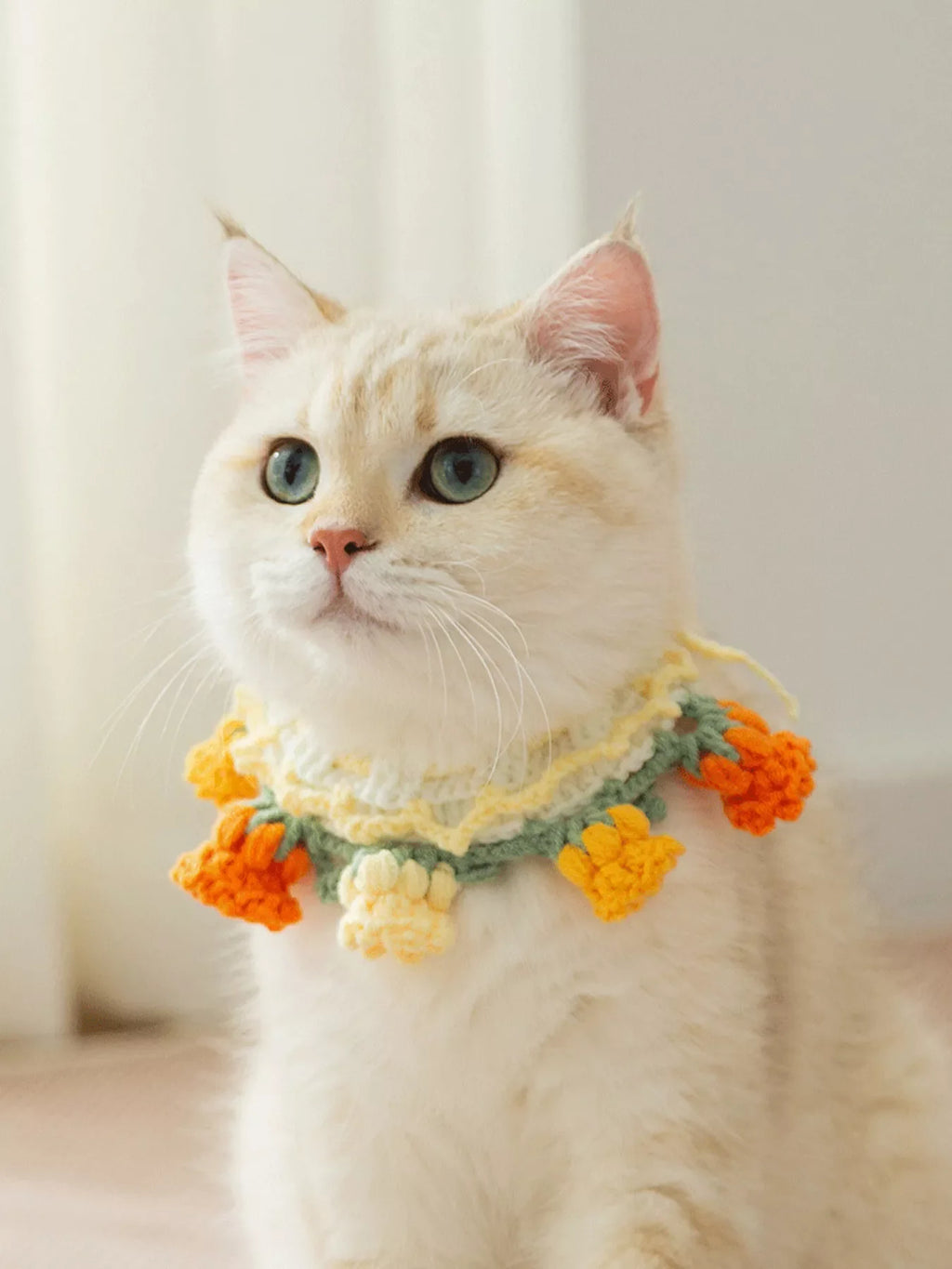 Knitted Floral Pet Collar
