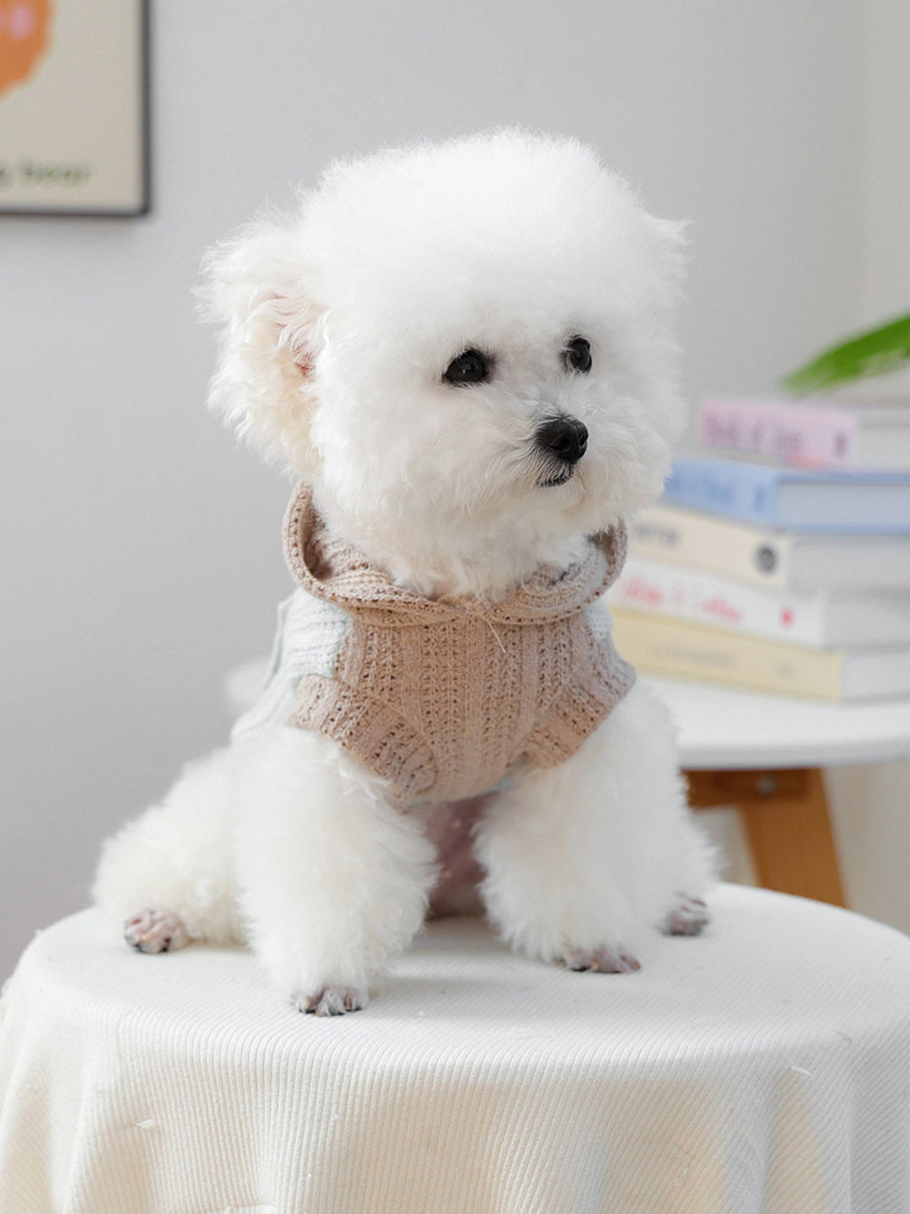 Flower Knitted Pet Hoodie