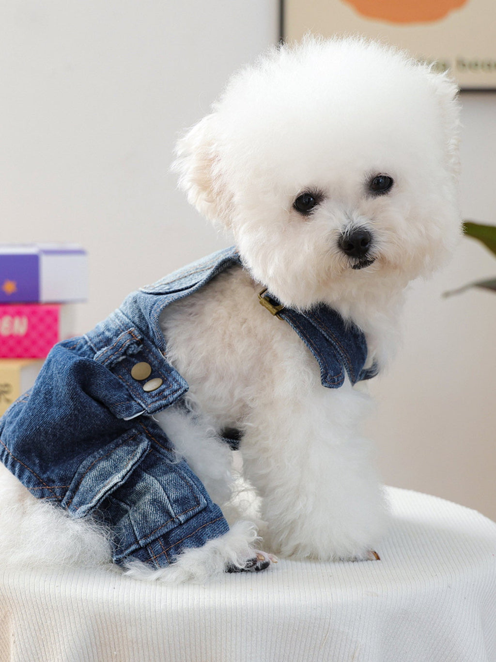 Denim Pet Overalls