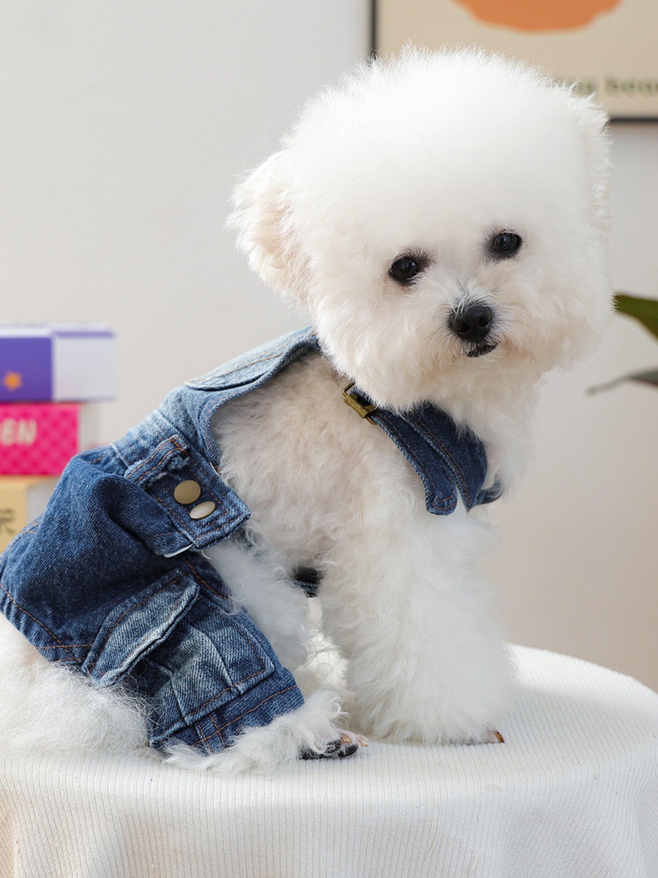 Denim Pet Overalls