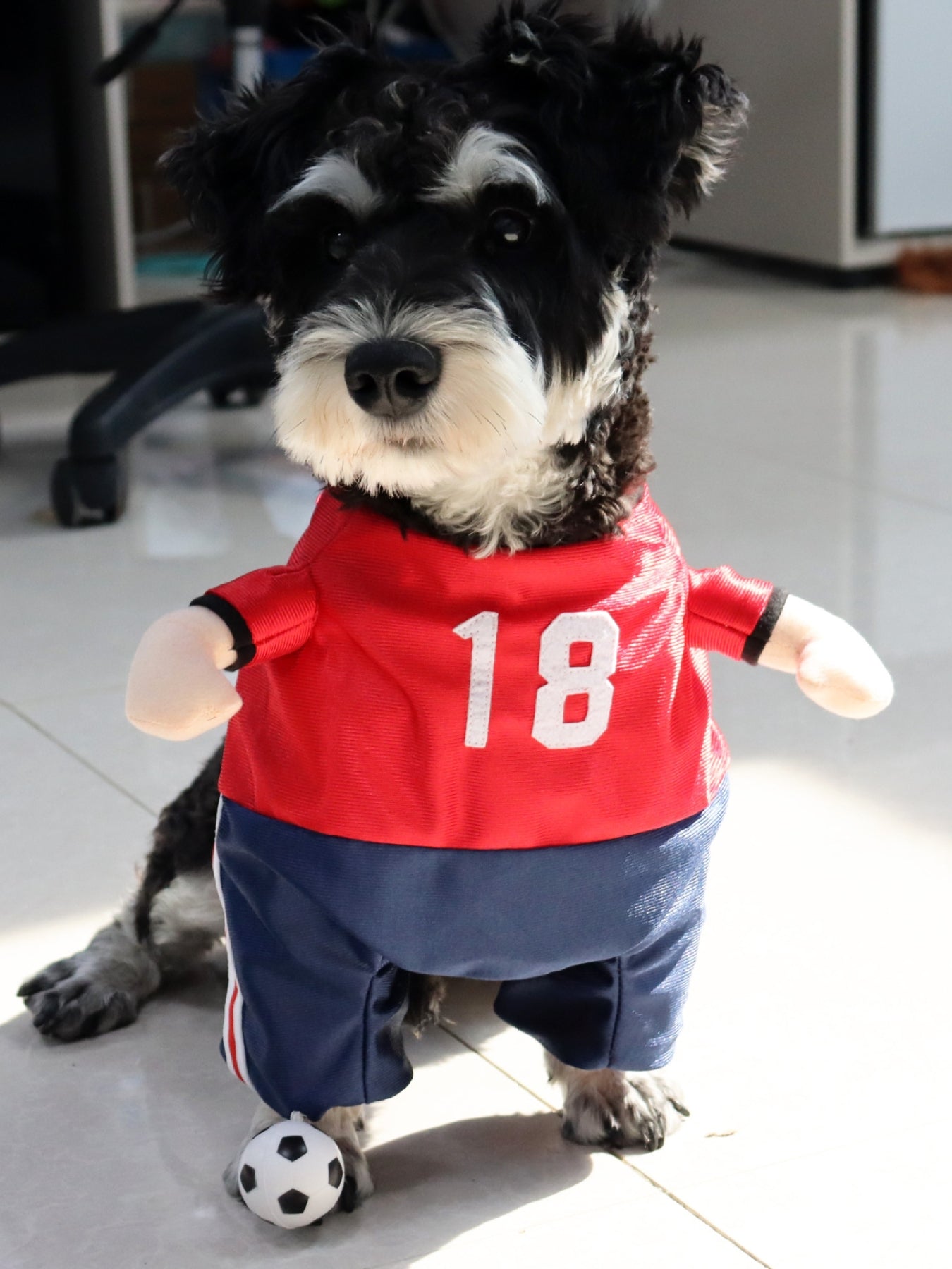 Number Pet Jumpsuit