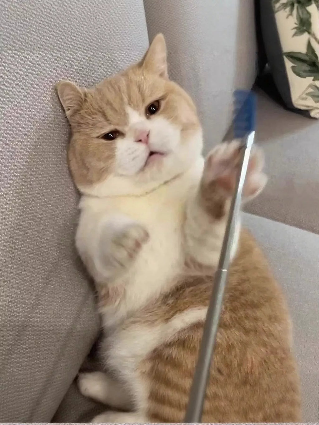 Pet Grooming Comb