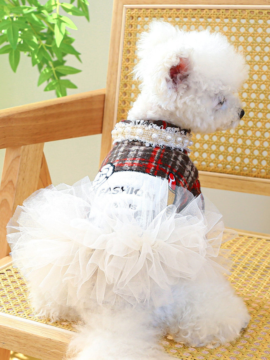 Pearl Collar Pet Dress