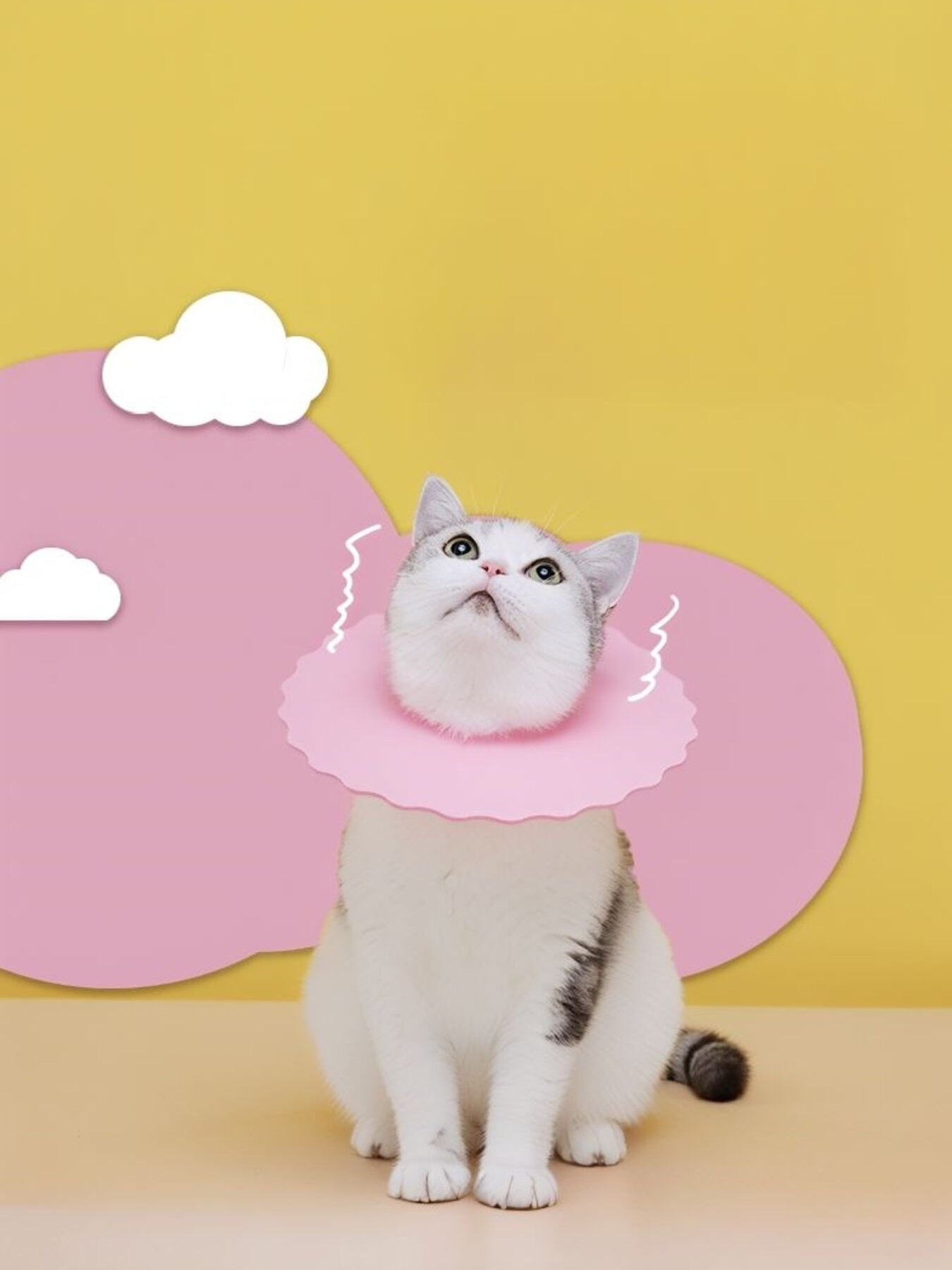 Soft Edge Pet Collar