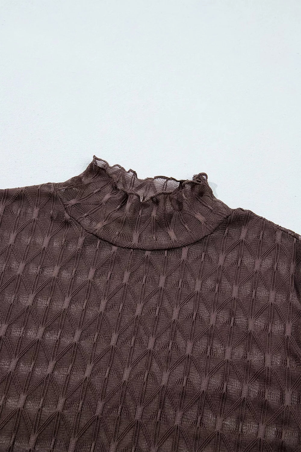 Sheer Textured Lace Stand Neck Long Sleeve Top