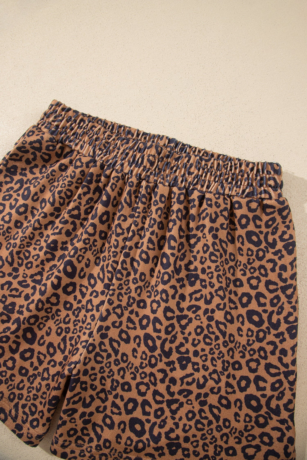 Brown Leopard Print Long Sleeve Henley Top Elastic Waist Shorts 2pcs Outfit