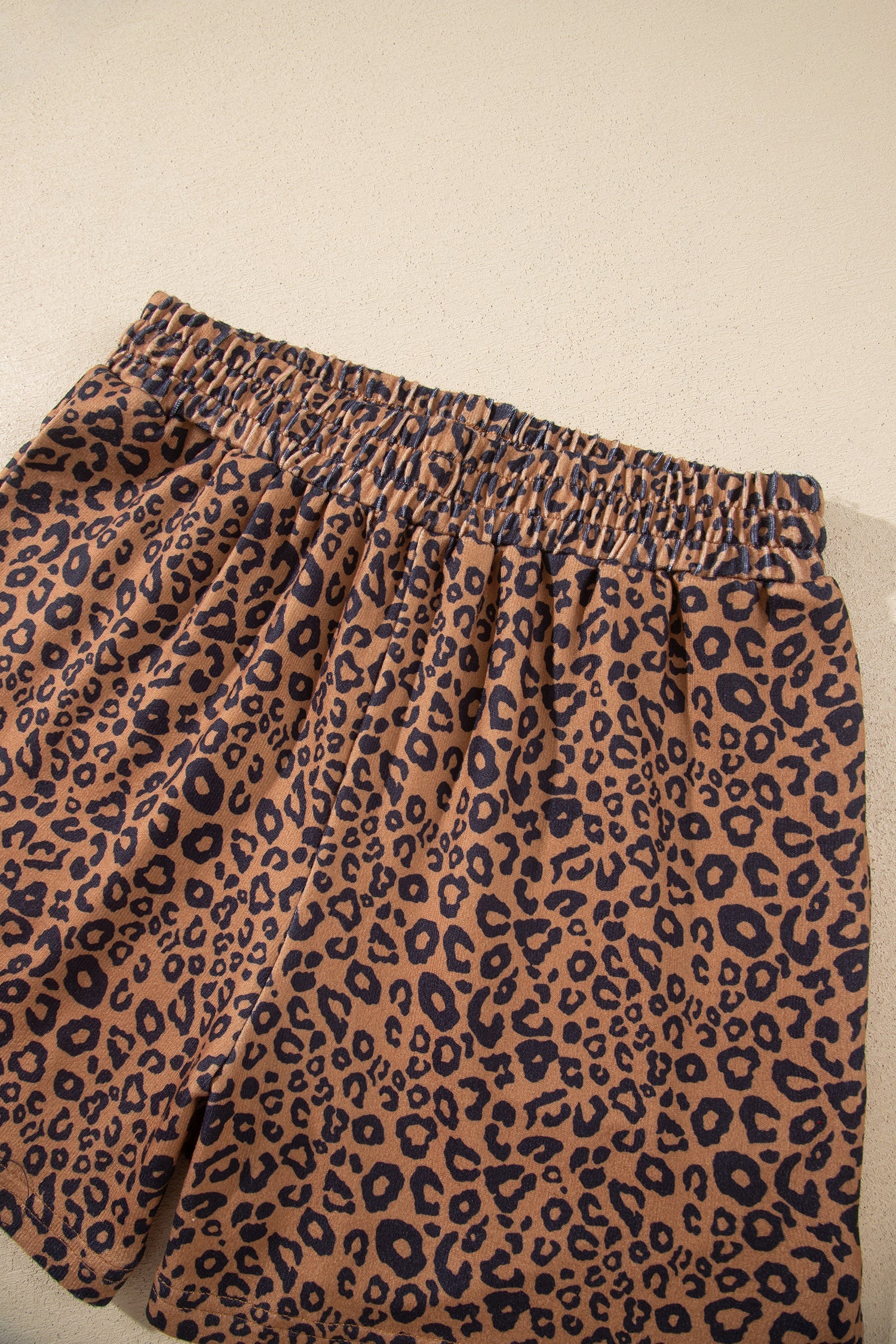 Brown Leopard Print Long Sleeve Henley Top Elastic Waist Shorts 2pcs Outfit