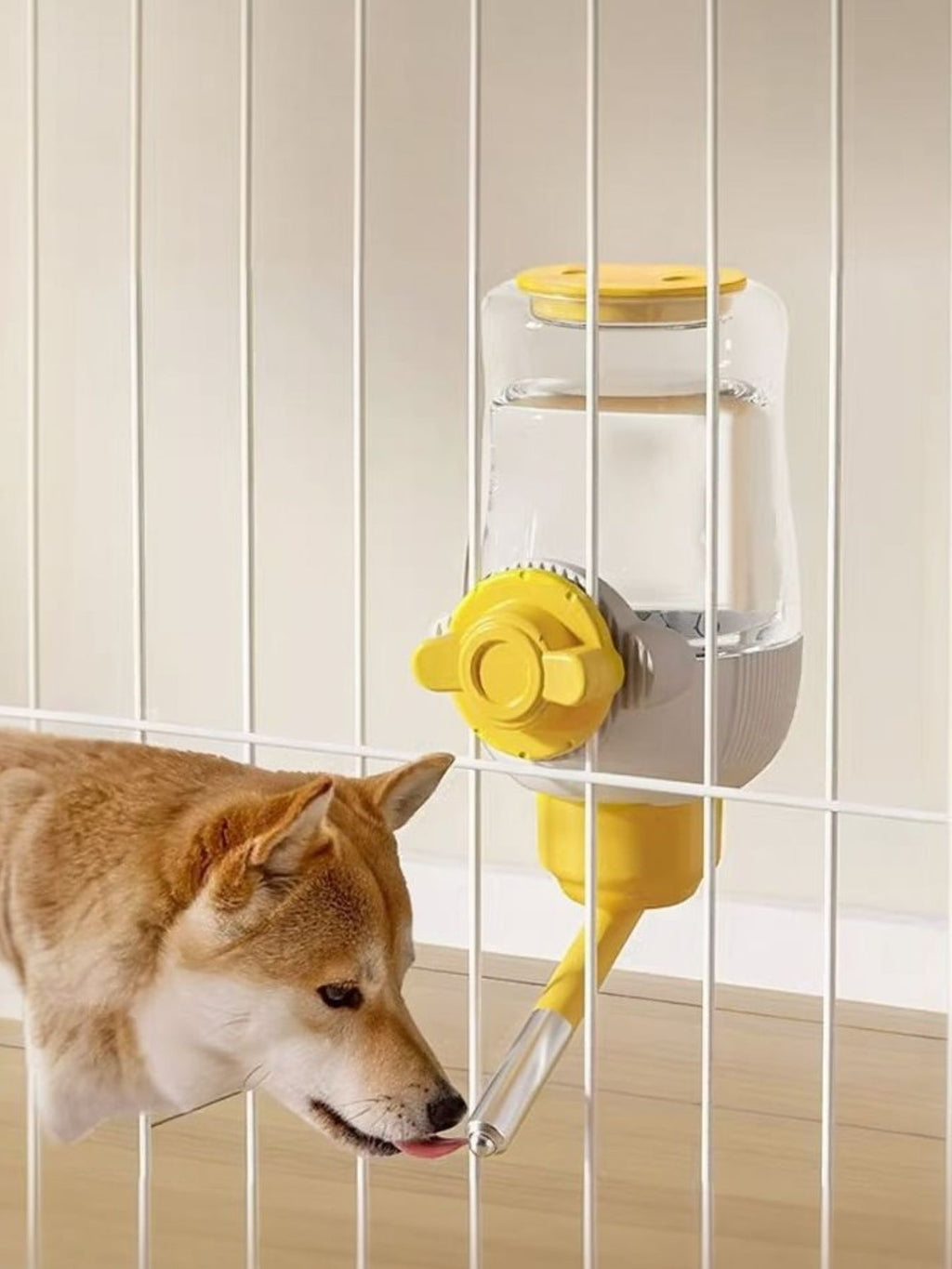 Automatic Pet Feeder & Waterer