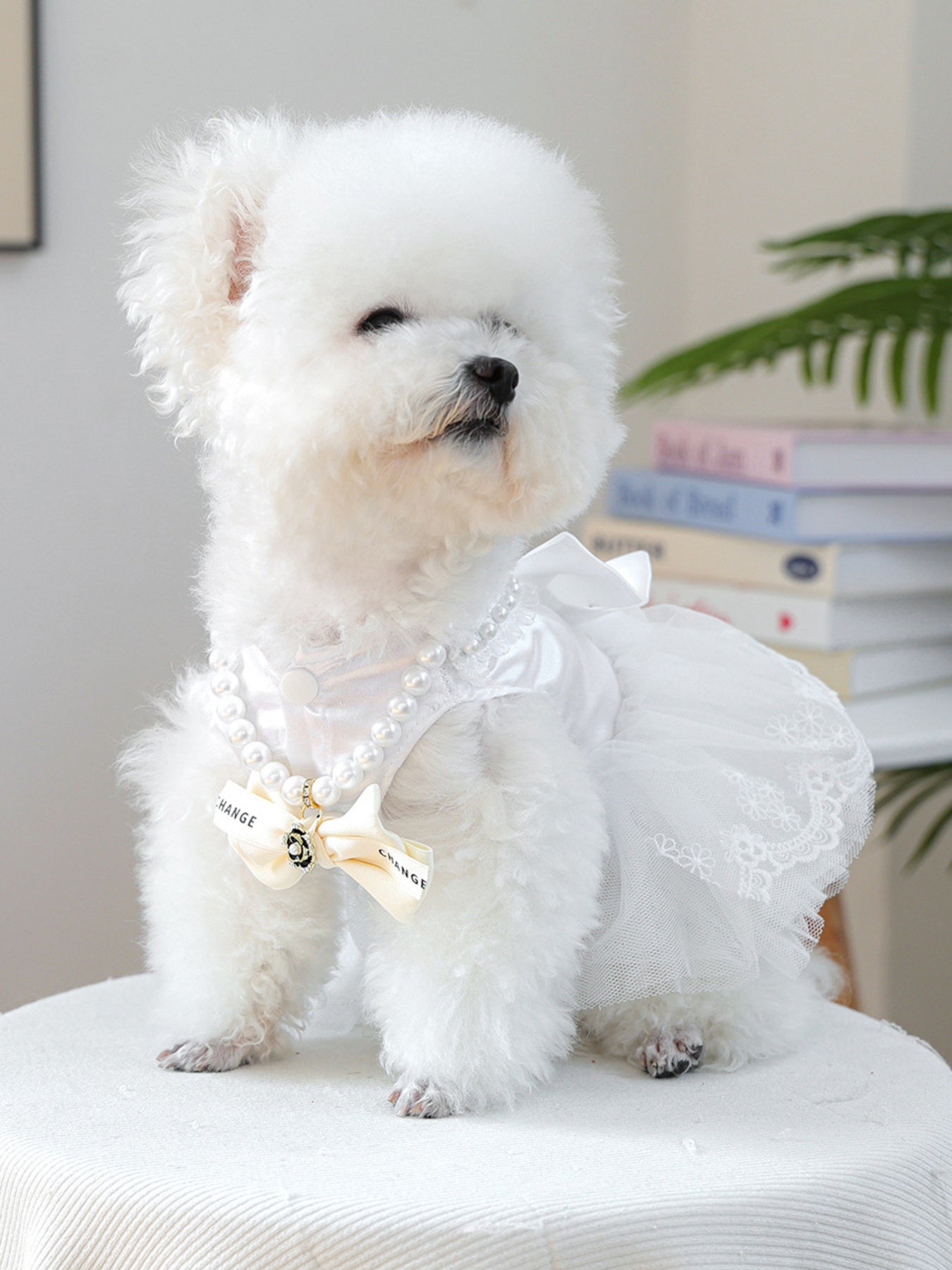 Pearl Bowknot Pet Necklace