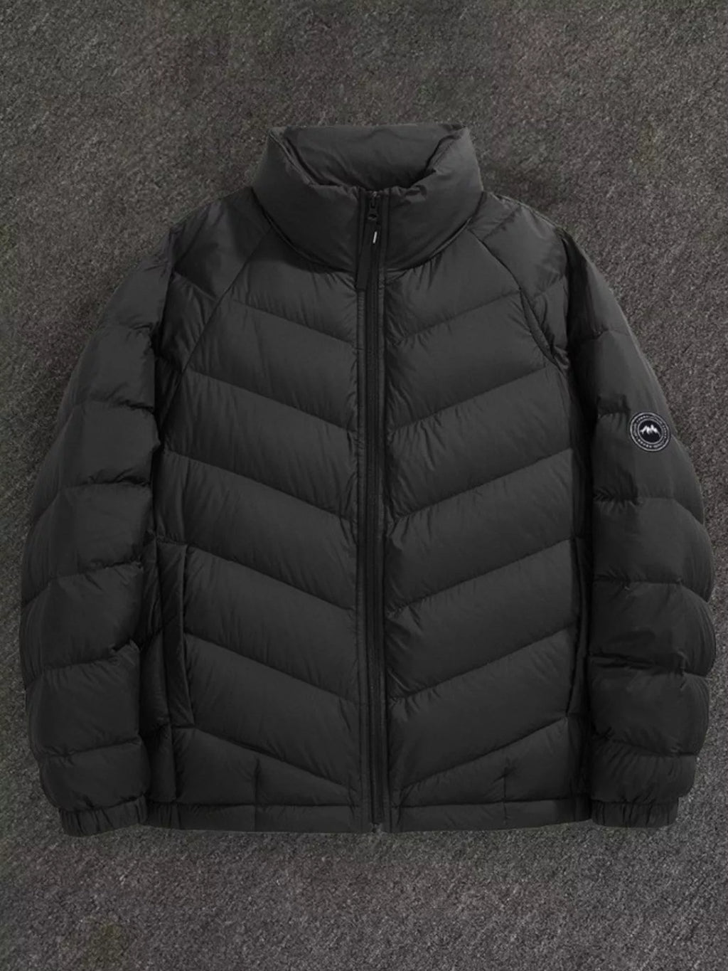 Men's Plus Size Zip Up Stand Collar Down Jacket