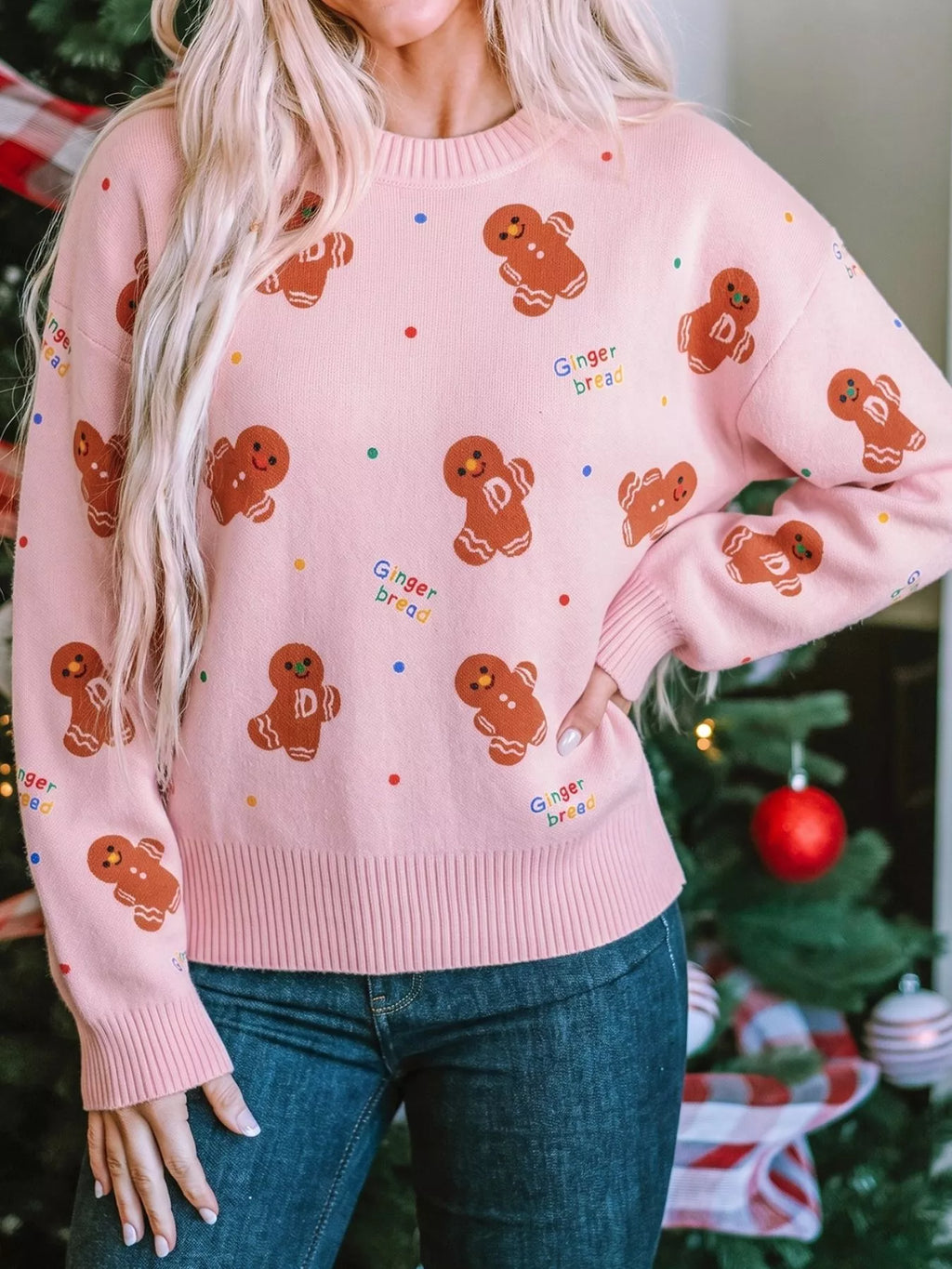 Gingerbread Pattern Long Sleeve Round Neck Sweater