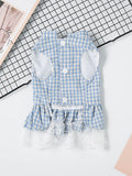 Gingham Ruffle Lace Pet Dress