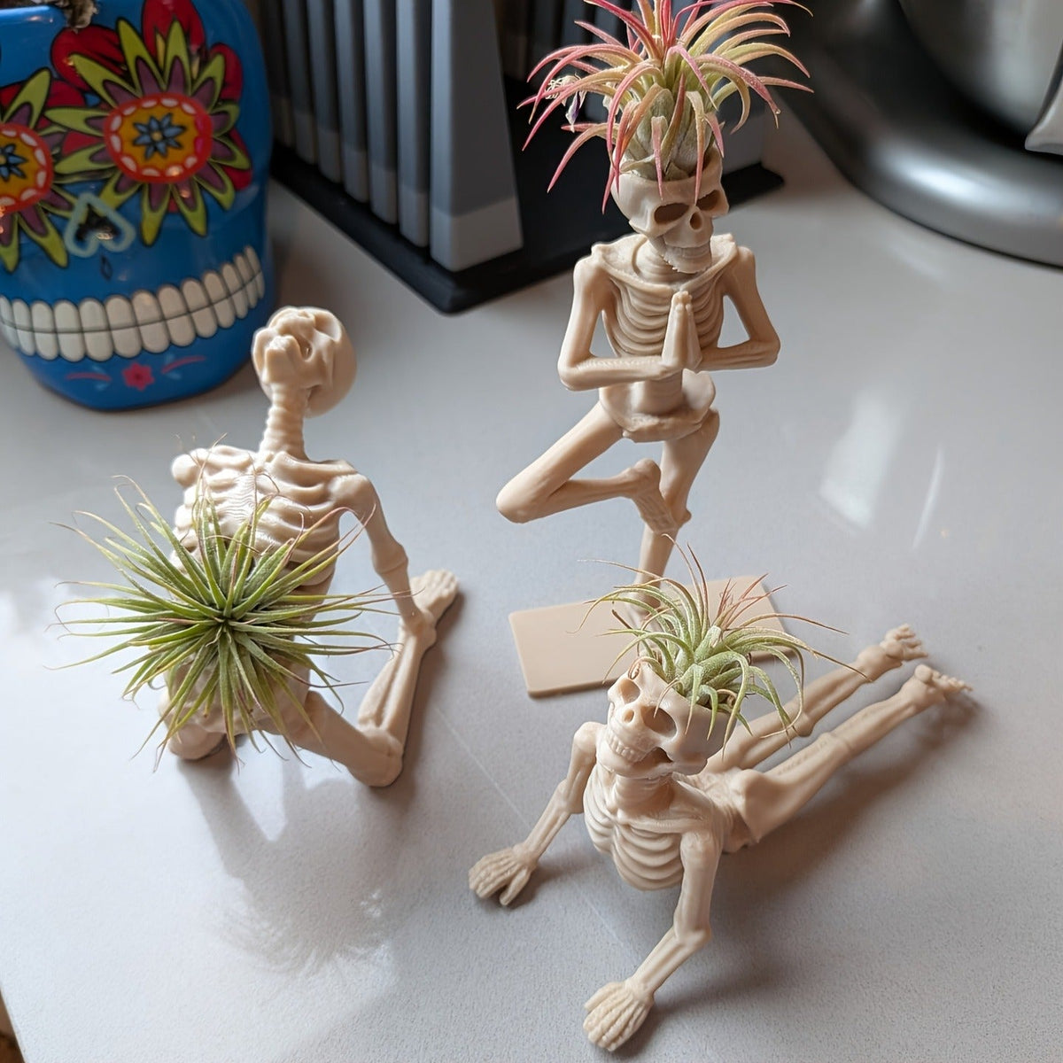 1PC 3D Printed Yoga Skeleton Air Plant Holder, Skull Planter Figurine, Gothic Desk Home Decor