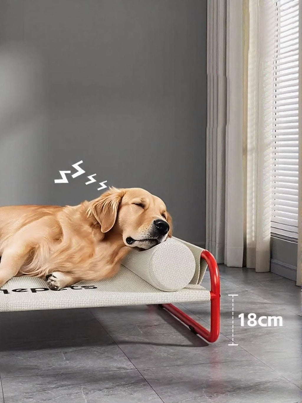 Foldable Pet Bed
