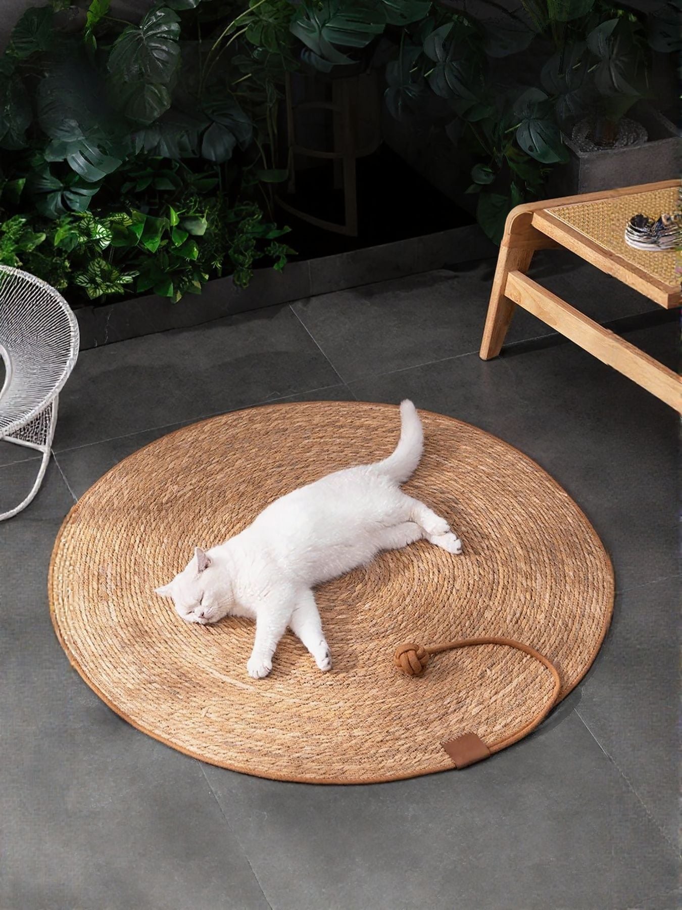 Round Braided Pet Mat