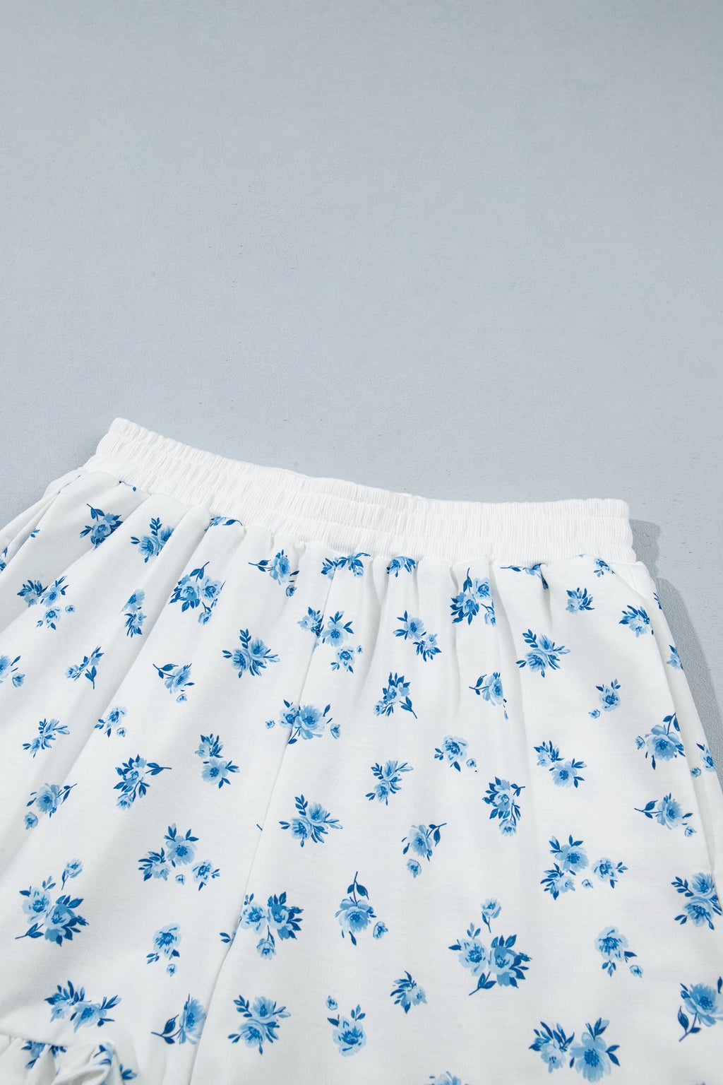 Sky Blue Floral Print Long Sleeve Top Elastic Waist Ruffle Hem Shorts 2pcs Set