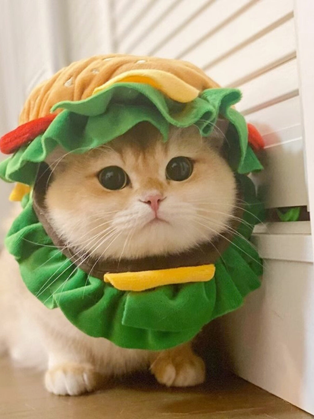 Hamburger Style Pet Headwear