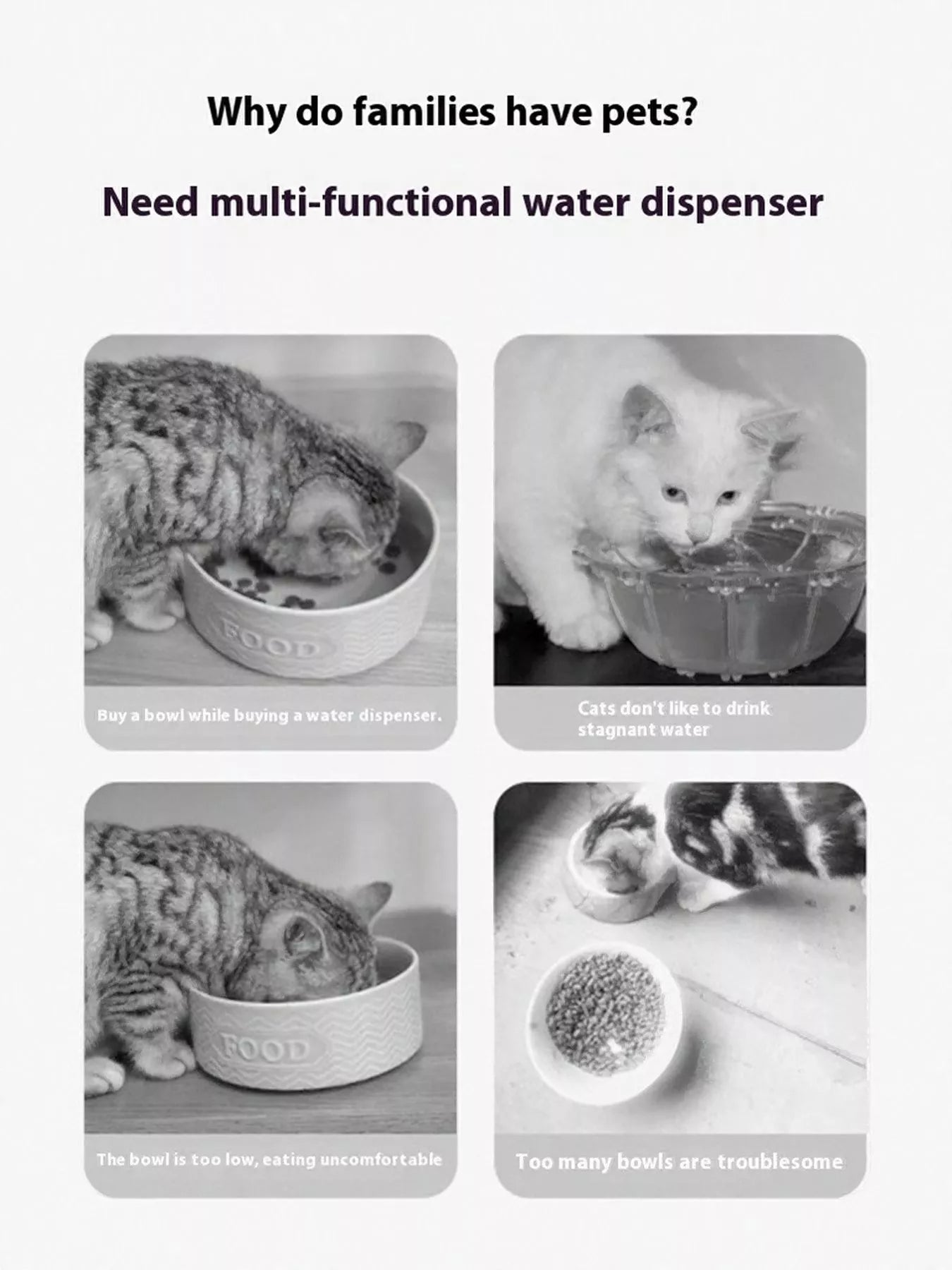 2-in-1 Automatic Water Dispenser & Food Bowl Pet Bowl
