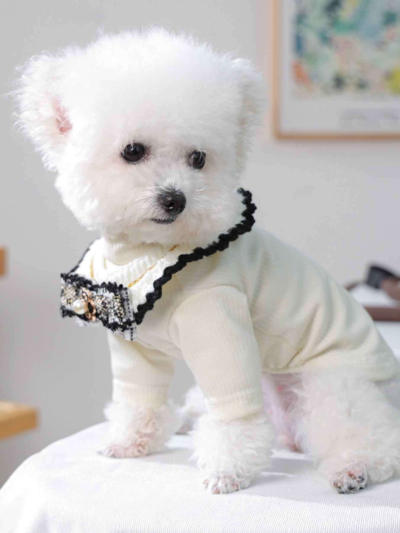 Contrast Pet Scarf