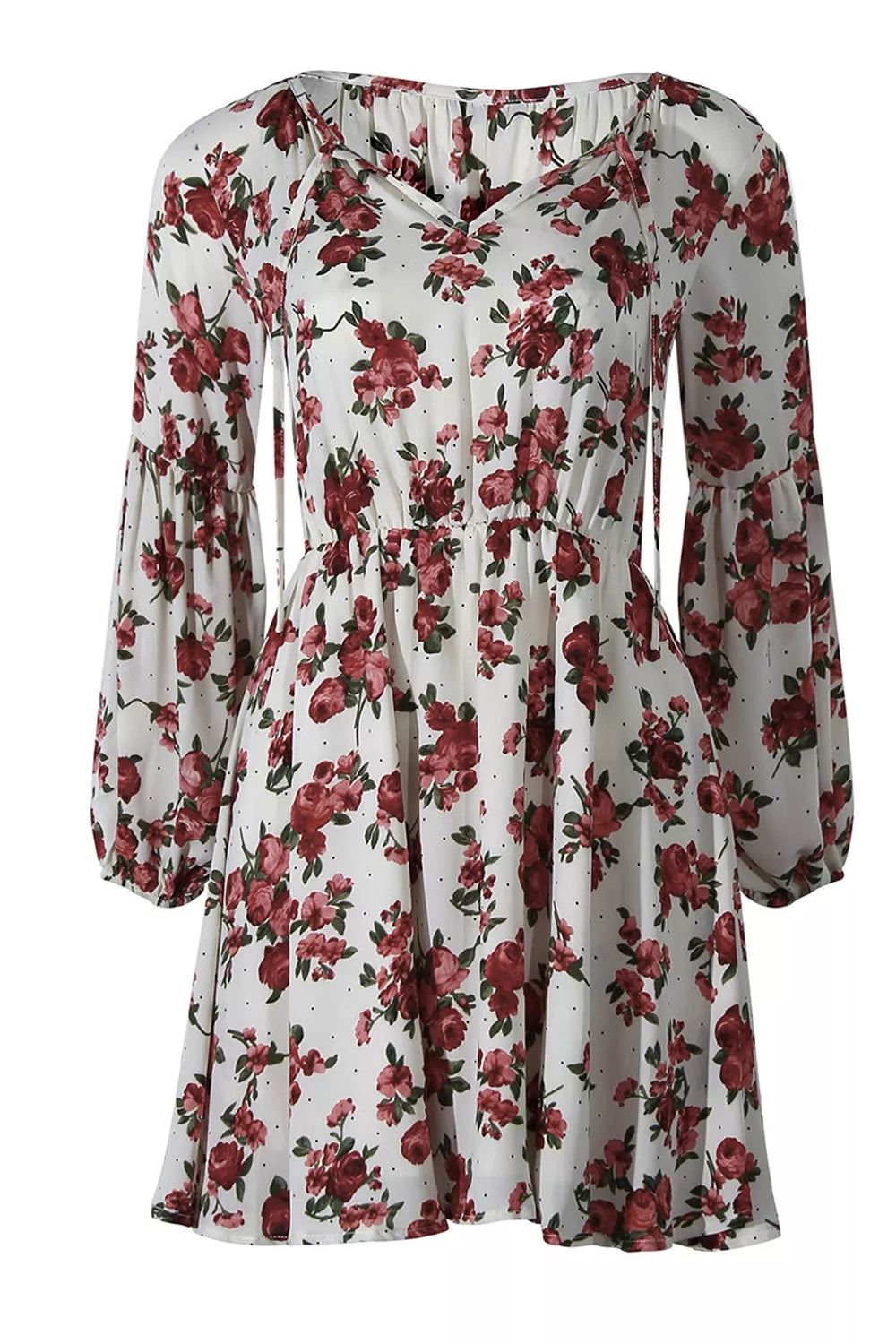 Floral Print Balloon Sleeve Mini Dress
