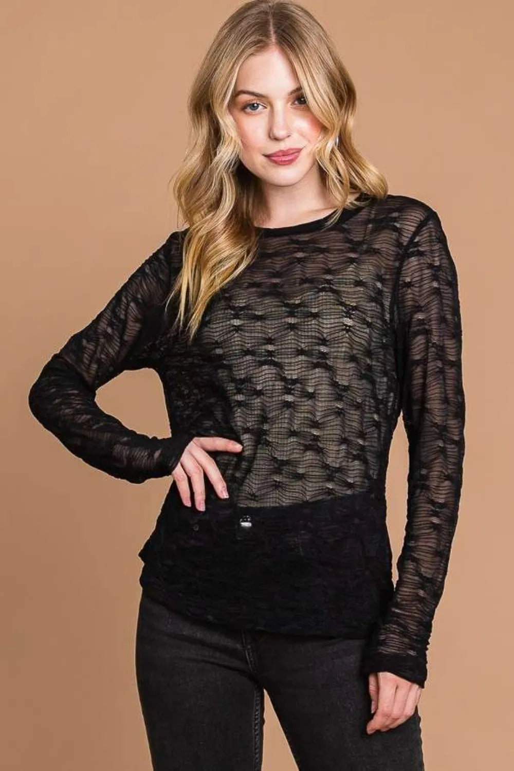 Mesh Perspective Long Sleeve Round Neck Top – Plus Size