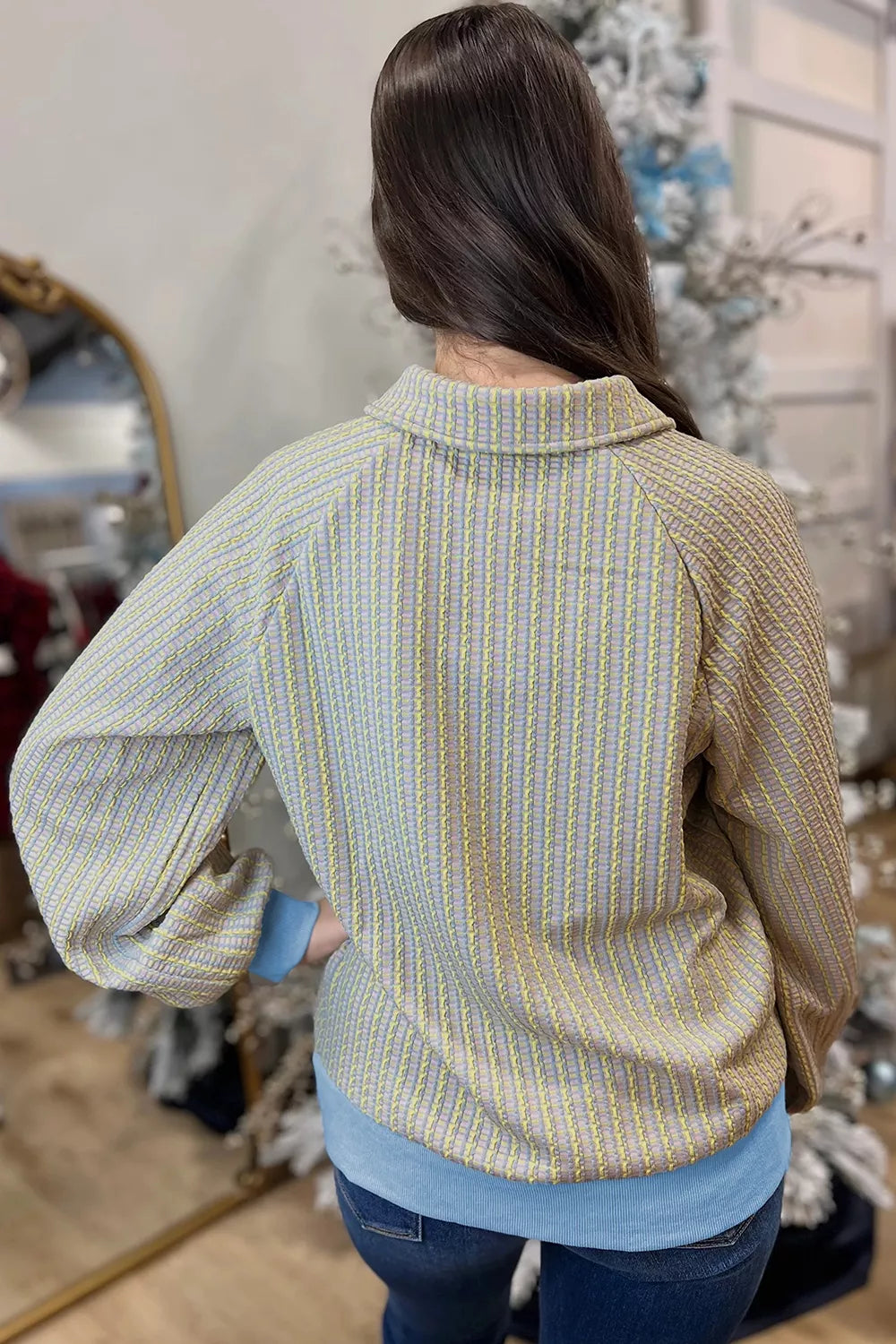 Button Front Jacquard Henley Sweatshirt