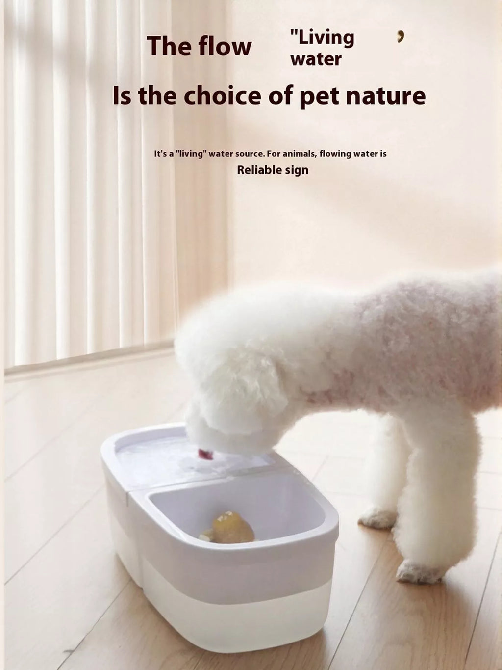2-in-1 Automatic Water Dispenser & Food Bowl Pet Bowl