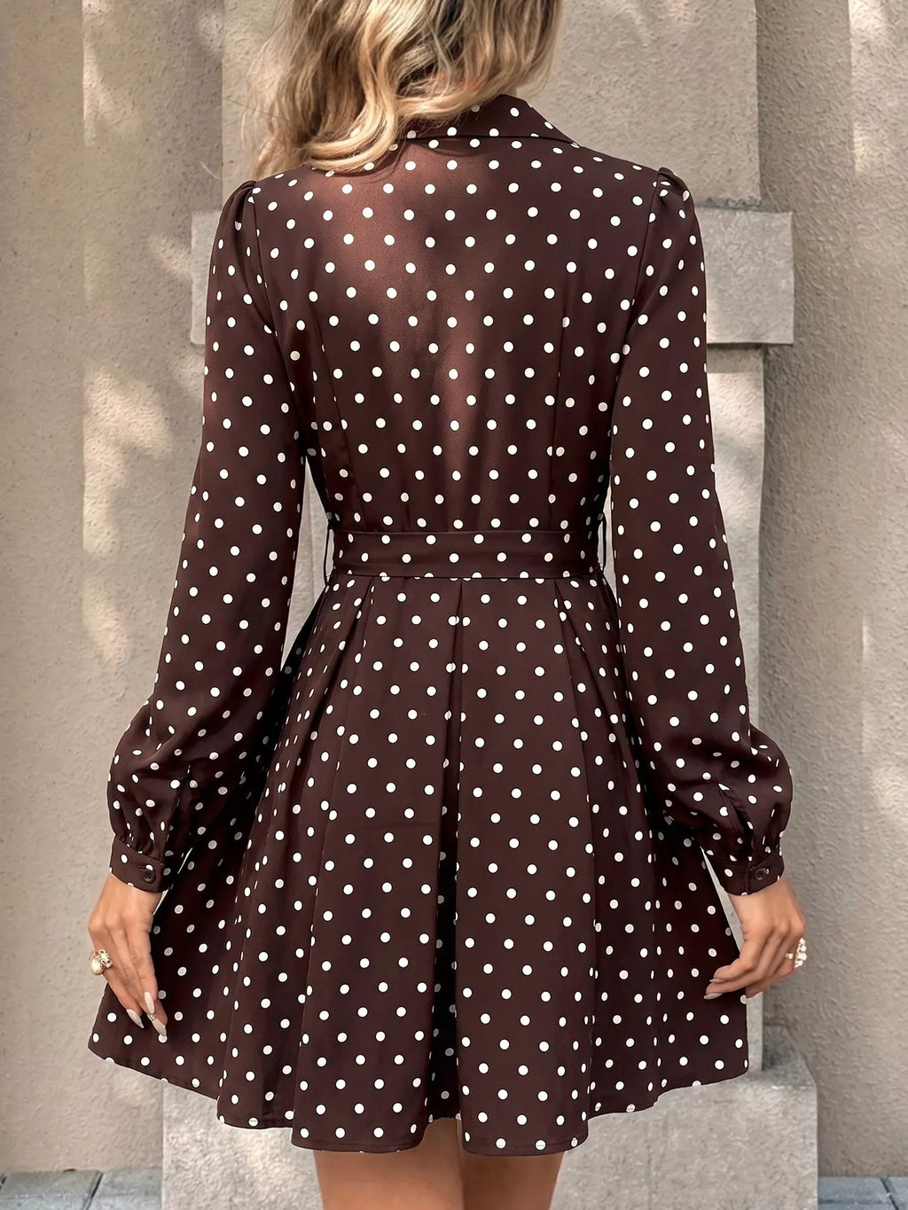 Polka Dot Long Sleeve Shirt Dress