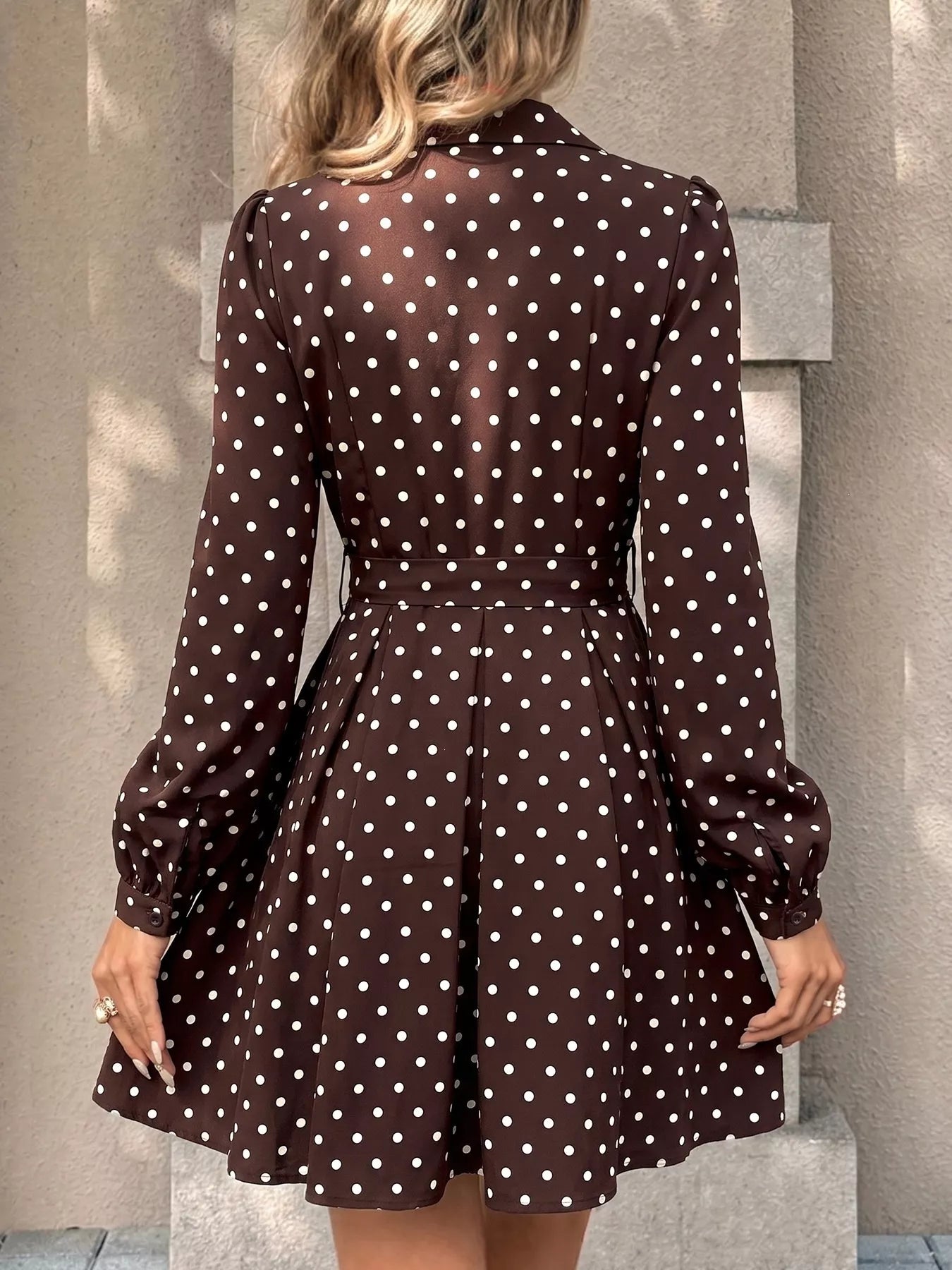 Polka Dot Long Sleeve Shirt Dress