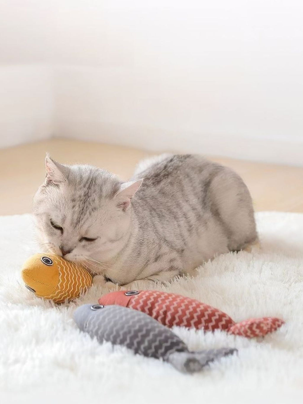 Interactive Fish Shape Pet Plush Toys
