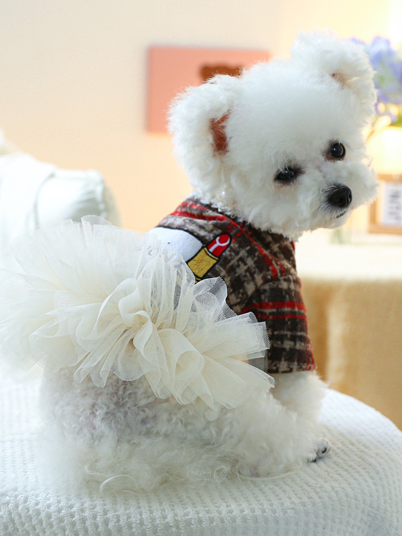 Pearl Collar Pet Dress