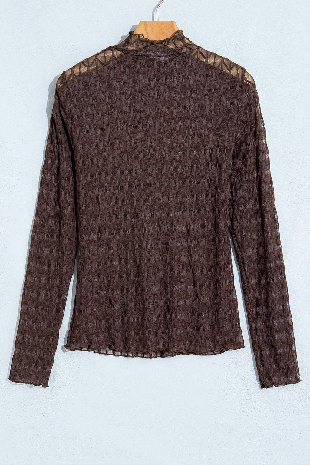 Chicory Coffee Sheer Textured Lace Stand Neck Long Sleeve Top