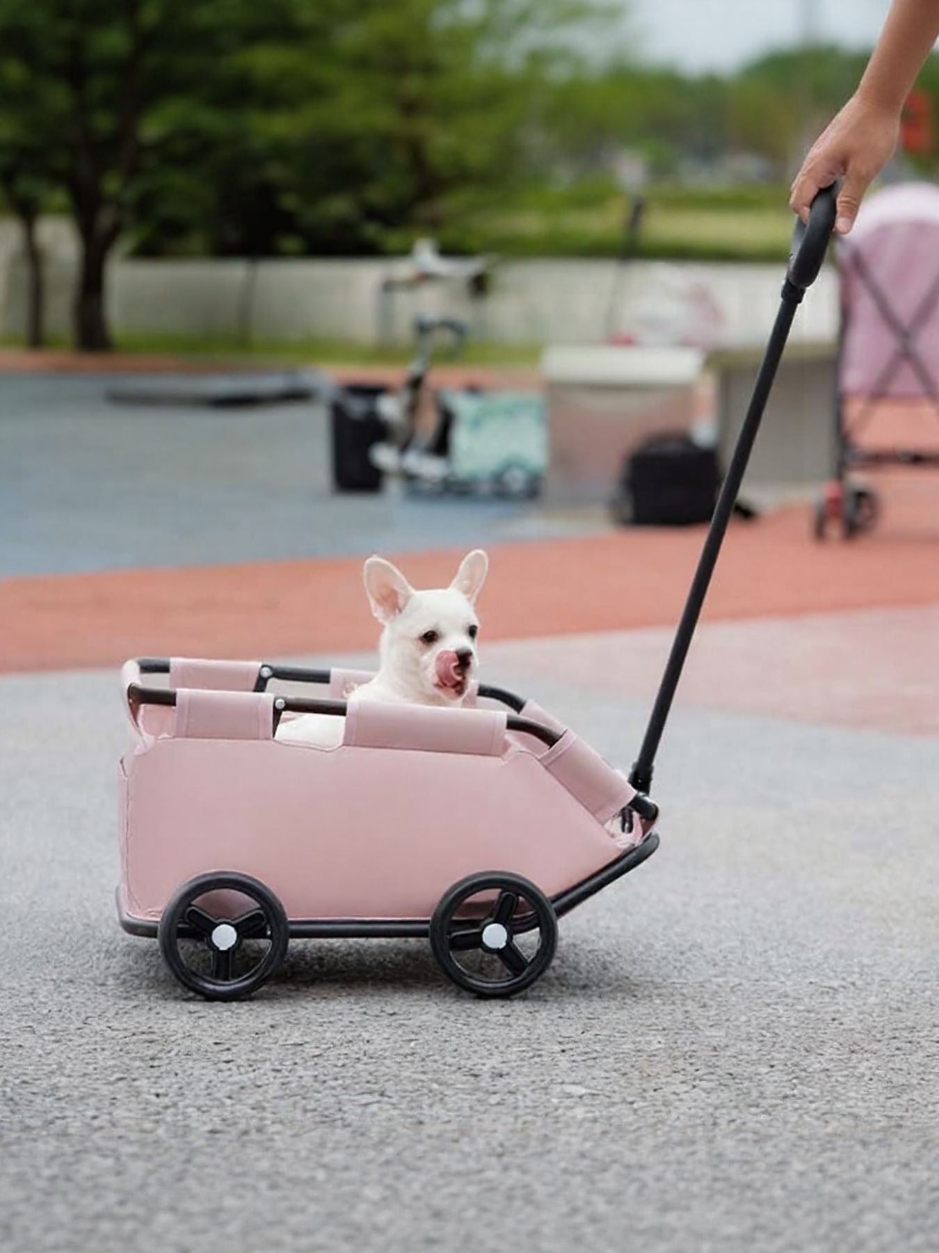 Portable Folding Pet Stroller Wagon