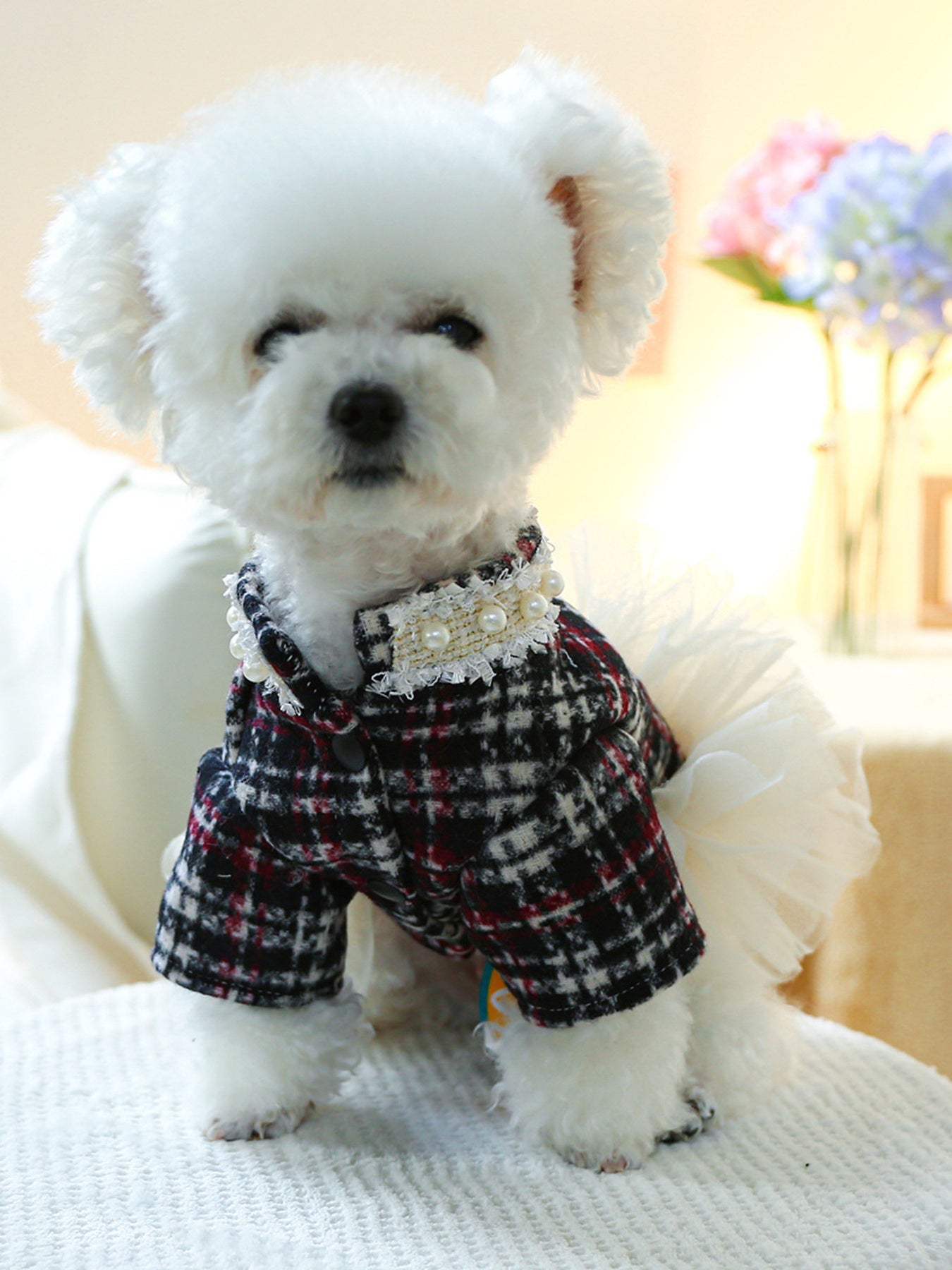 Pearl Collar Pet Dress