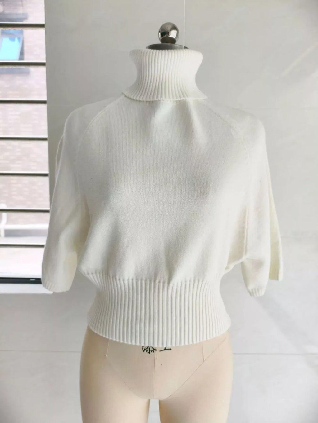 Turtleneck Batwing Sleeve Sweater