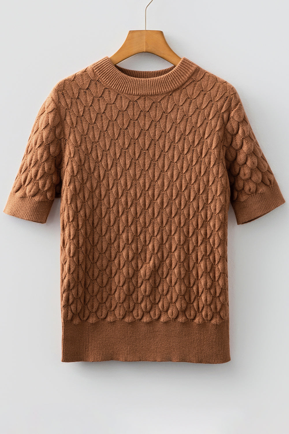 Fish Scale Textured Knit Short Sleeve Sweater