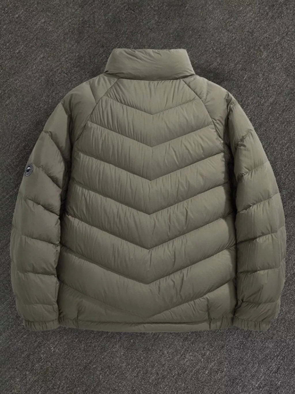 Men's Plus Size Zip Up Stand Collar Down Jacket