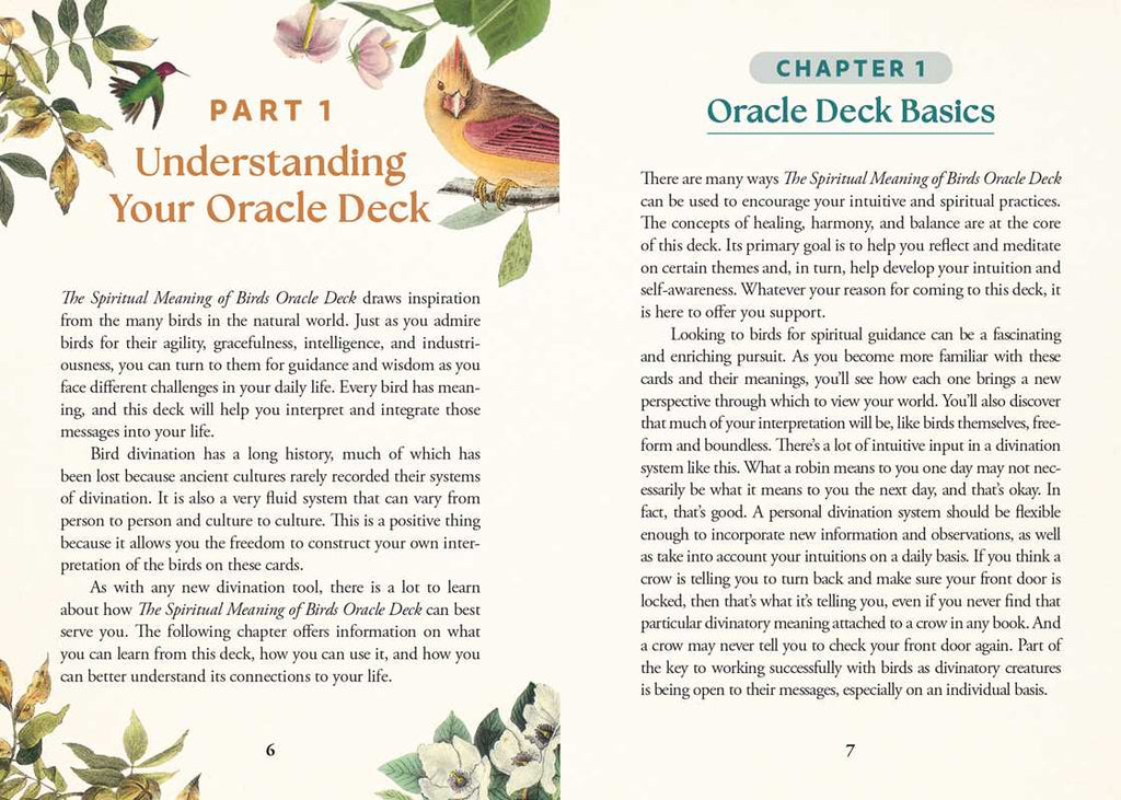 The Spiritual Meaning of Birds Oracle Deck