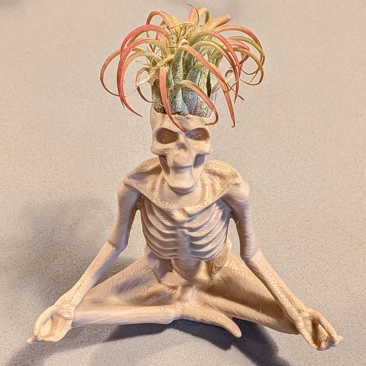 1PC 3D Printed Yoga Skeleton Air Plant Holder, Skull Planter Figurine, Gothic Desk Home Decor