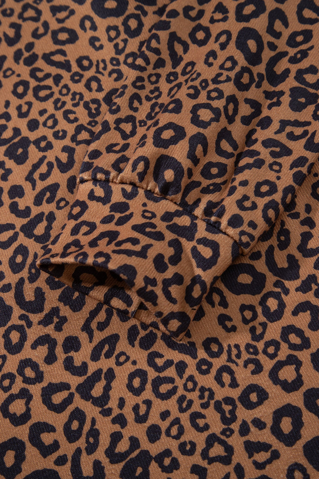 Brown Leopard Print Long Sleeve Henley Top Elastic Waist Shorts 2pcs Outfit