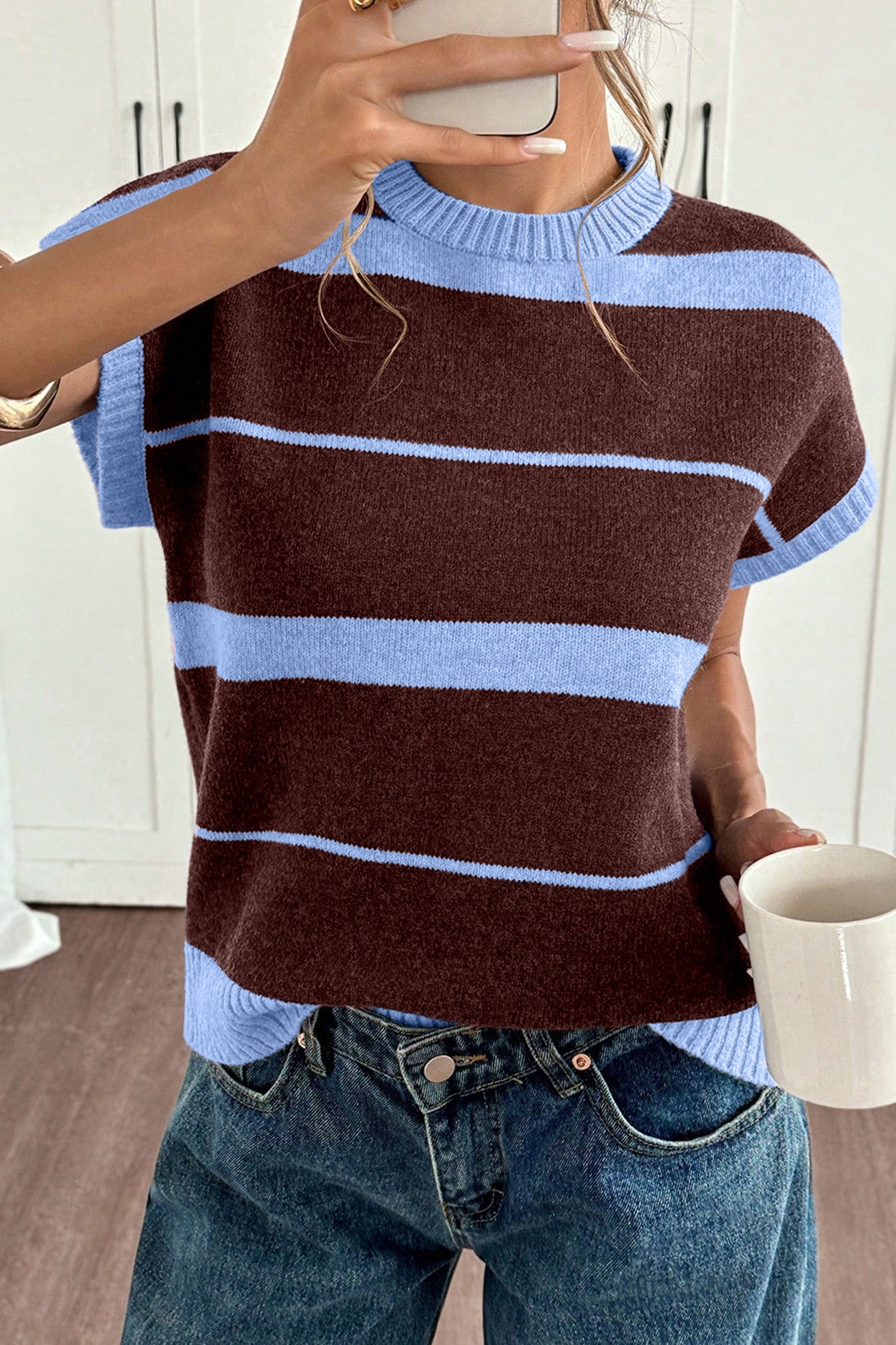 Sky Blue Stripe Striped Short Sleeve Round Neck Casual Knit Top