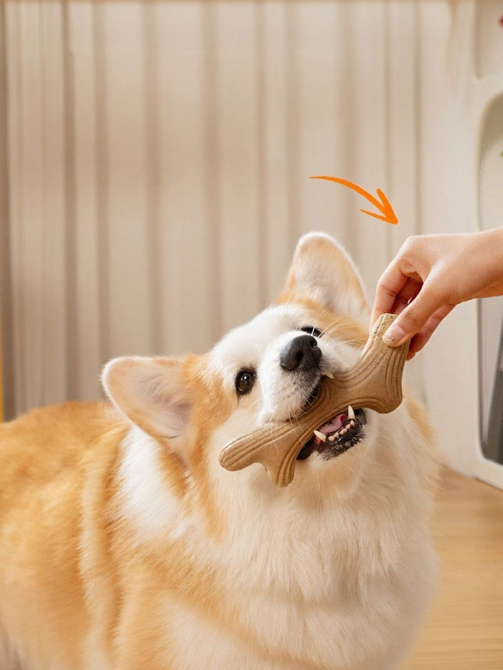 Durable Antler-Shaped Dog Chew Toy