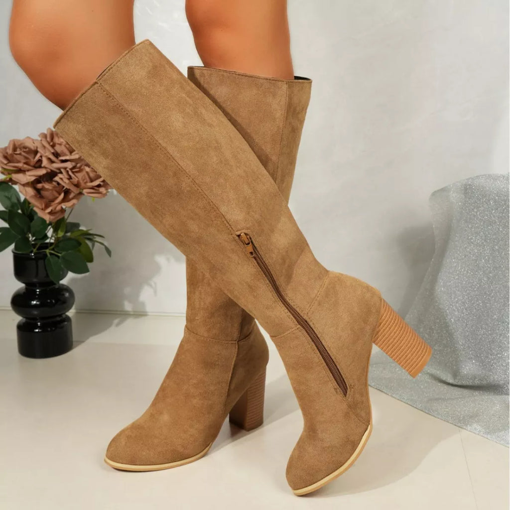 Point Toe Block Heels Boots
