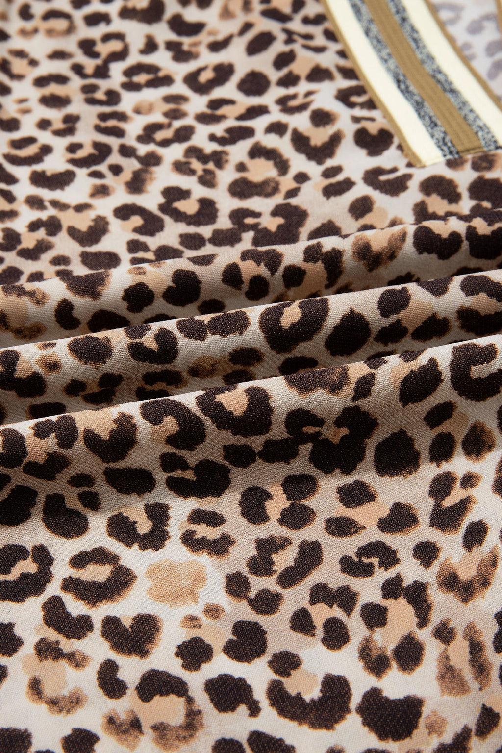 Leopard Contrast Trim V Neck Half Sleeve Western Dolman Blouse