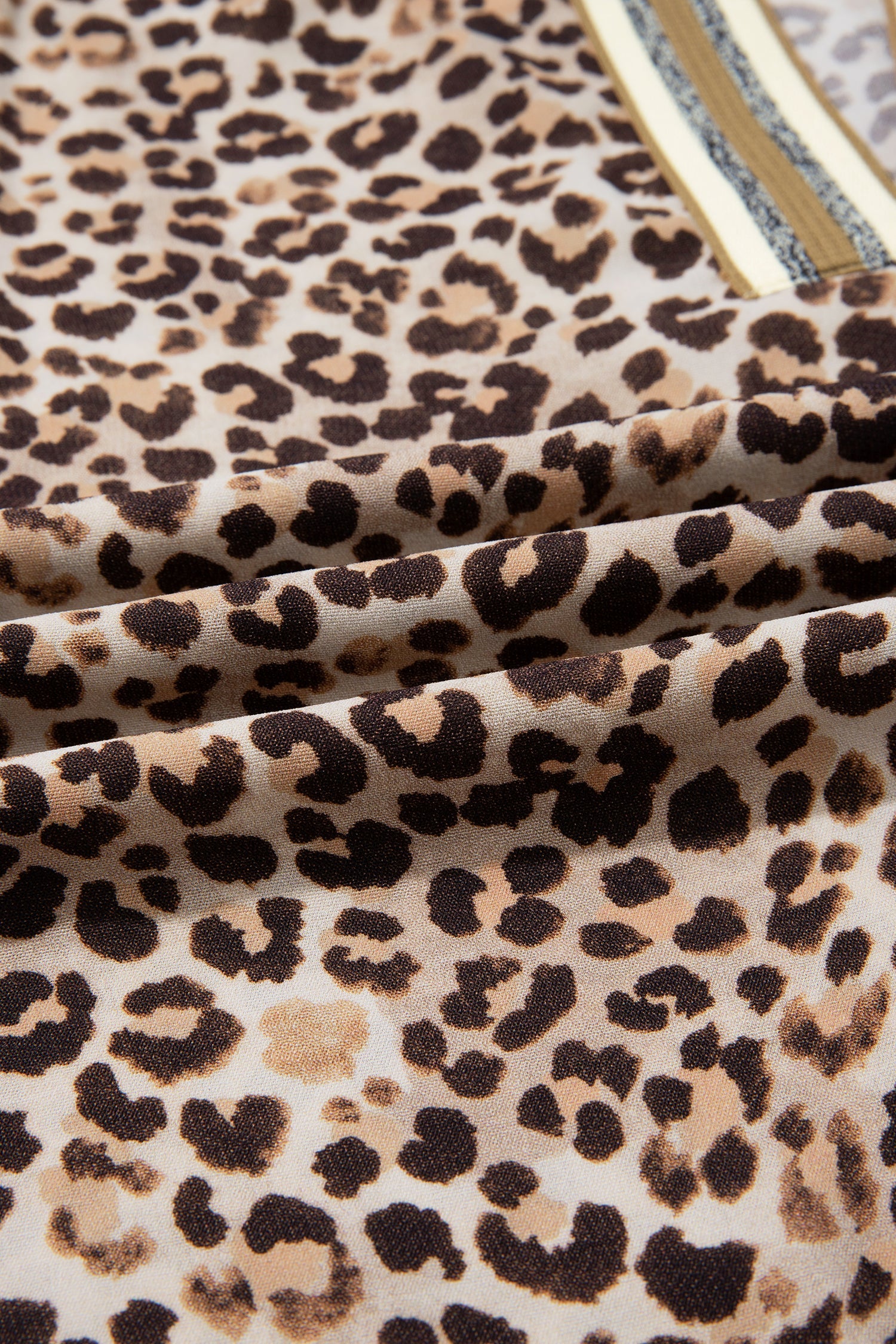 Leopard Contrast Trim V Neck Half Sleeve Western Dolman Blouse