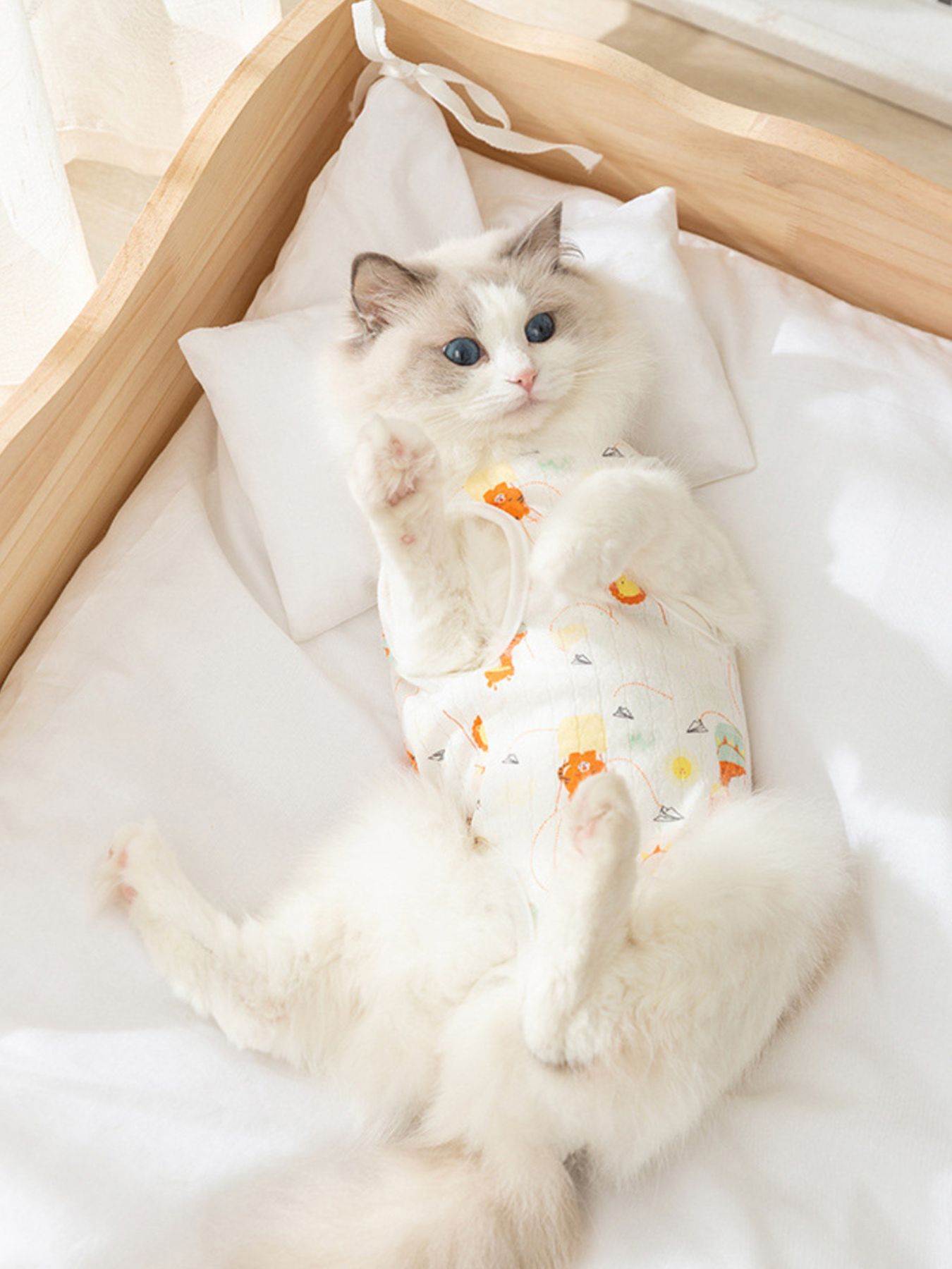 Adjustable Tie Pet Recovery Suit