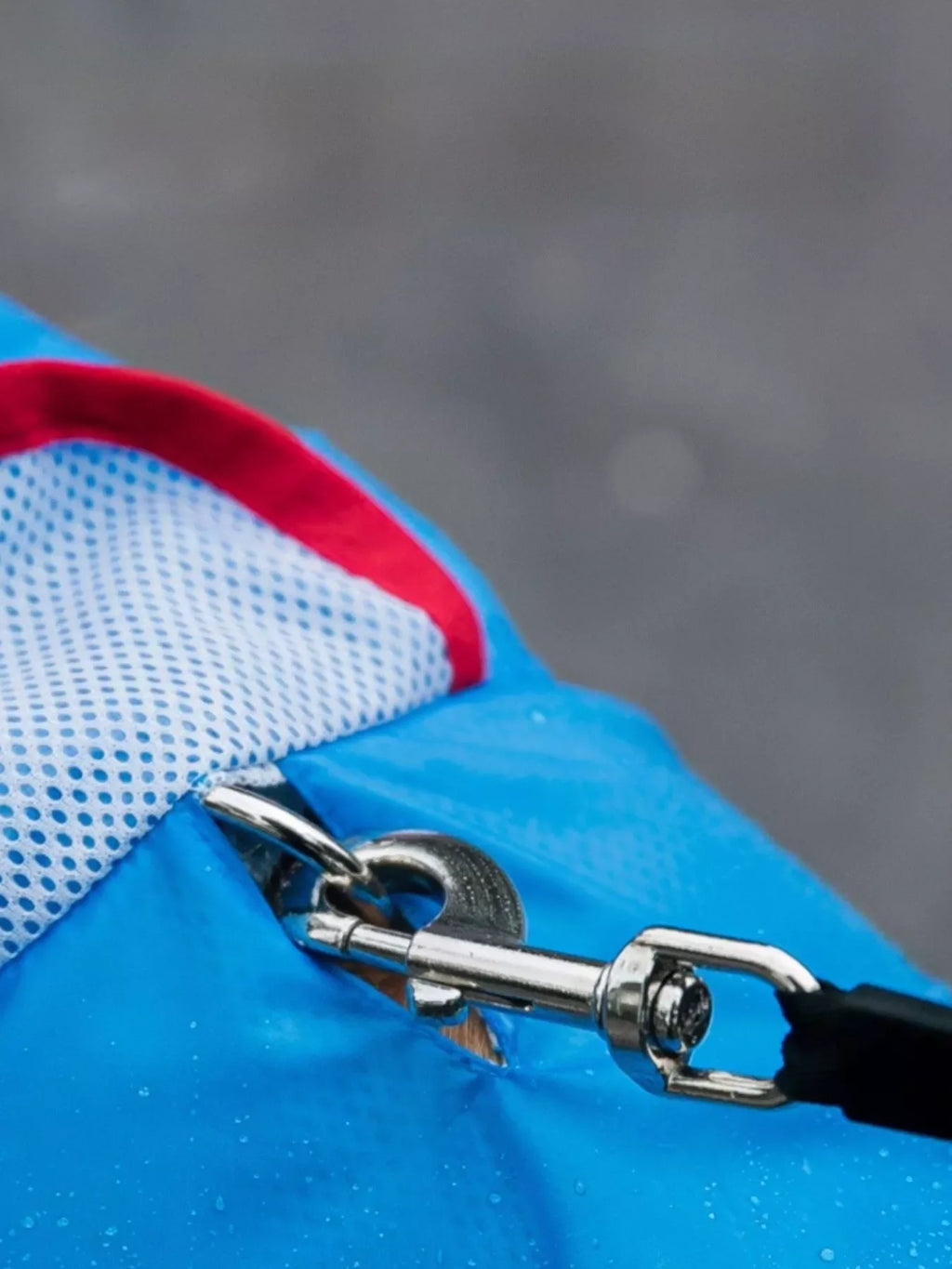 Dinosaur Style Waterproof Dog Raincoat with Hood