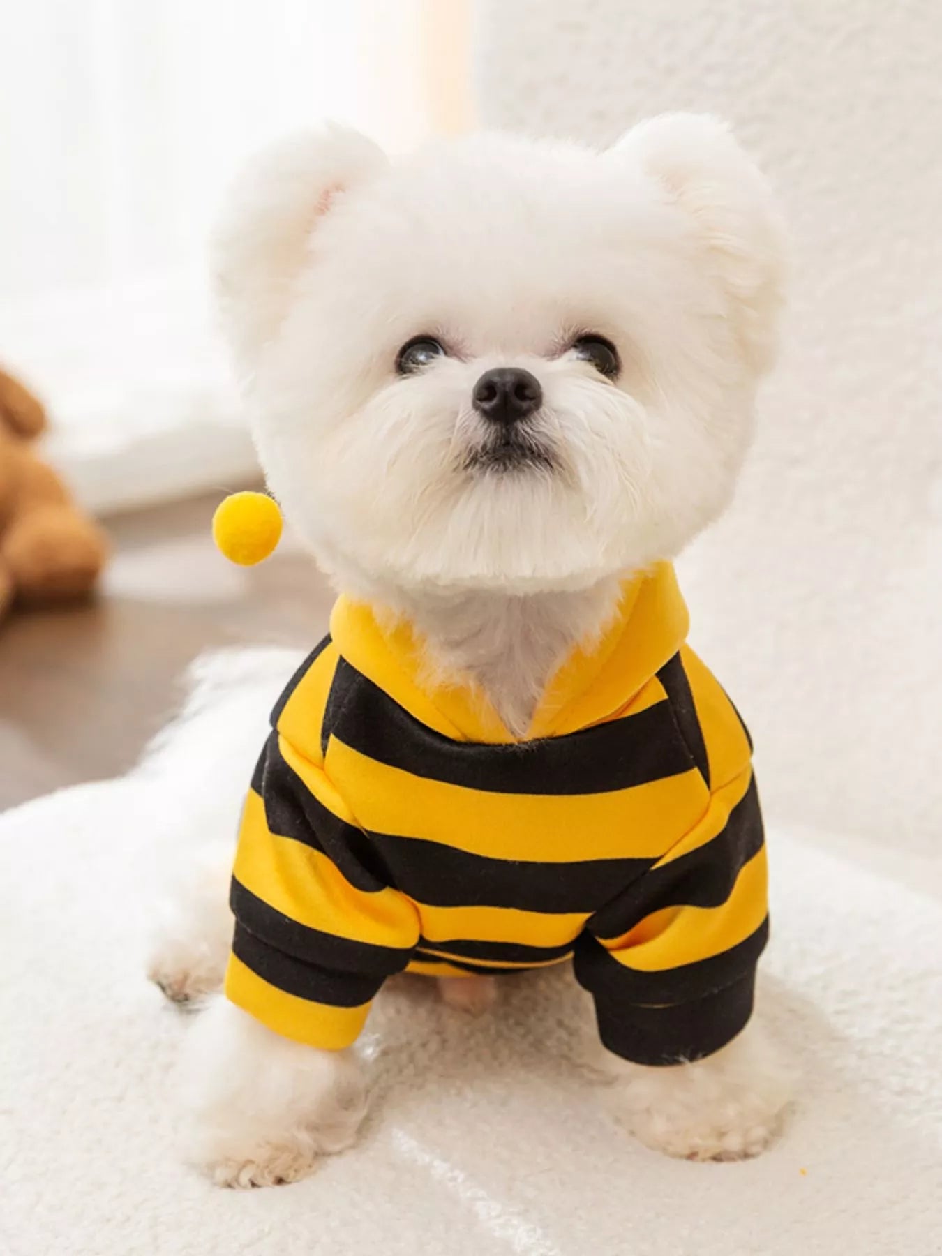 Soft Warm Pet Hoodie