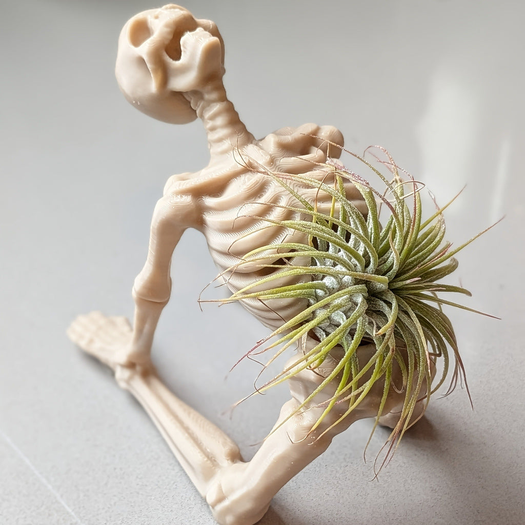 1PC 3D Printed Yoga Skeleton Air Plant Holder, Skull Planter Figurine, Gothic Desk Home Decor